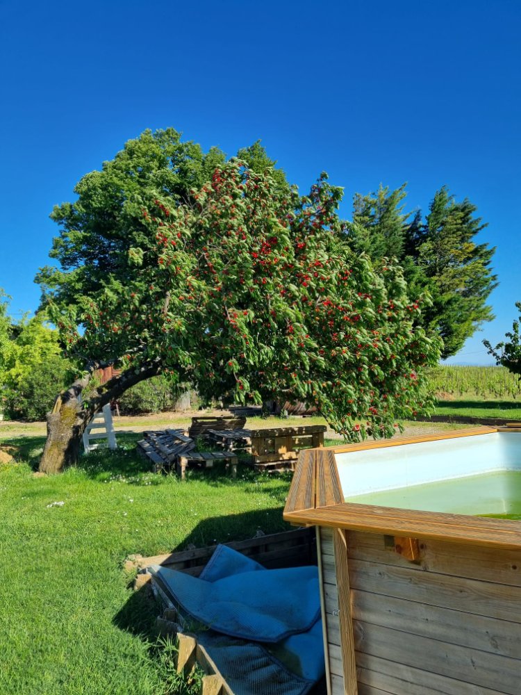 Aire camping-car  Tain-l'Hermitage (26600) - Photo 5